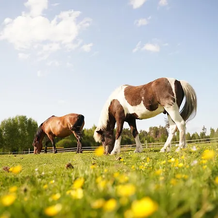 Agroturystyka Sominy Alloggio per agriturismo *