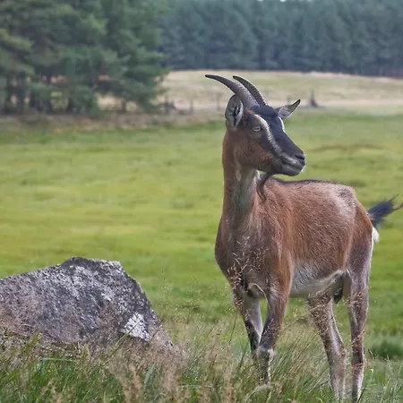 Alloggio per agriturismo Agroturystyka Sominy