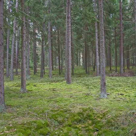 Bauernhof Agroturystyka Sominy *