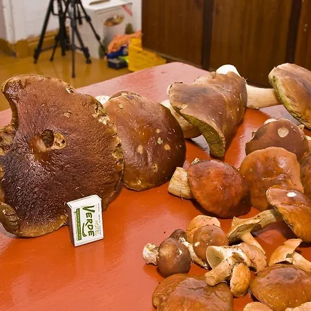 Bauernhof Agroturystyka Sominy Sominy