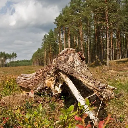 Agroturystyka Sominy * Sominy