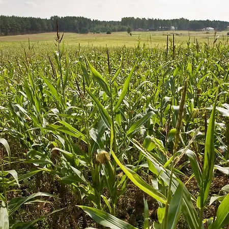 Agroturystyka Sominy Bauernhof