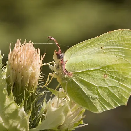 Agroturystyka Sominy *