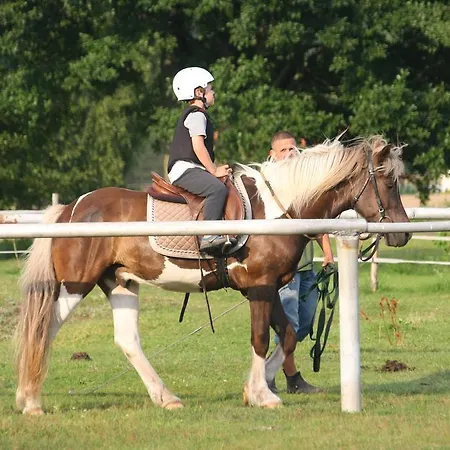 Agroturystyka Sominy Farm stay *