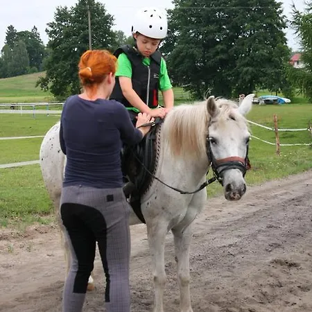 Agroturystyka Sominy Farm stay *