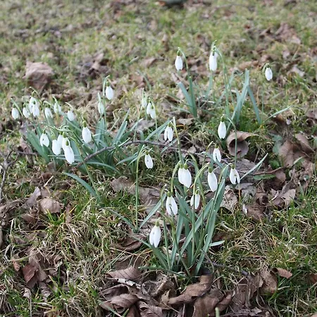 Agroturystyka Sominy Sominy