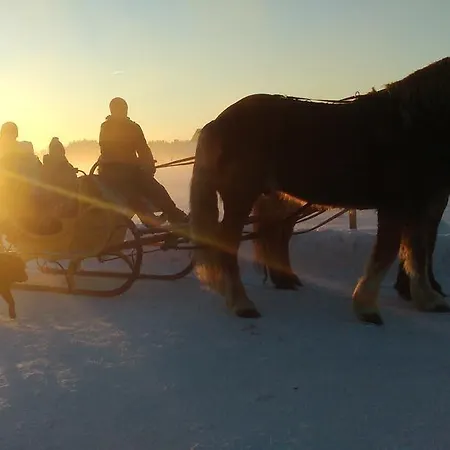 Agroturystyka Sominy Фермерский дом