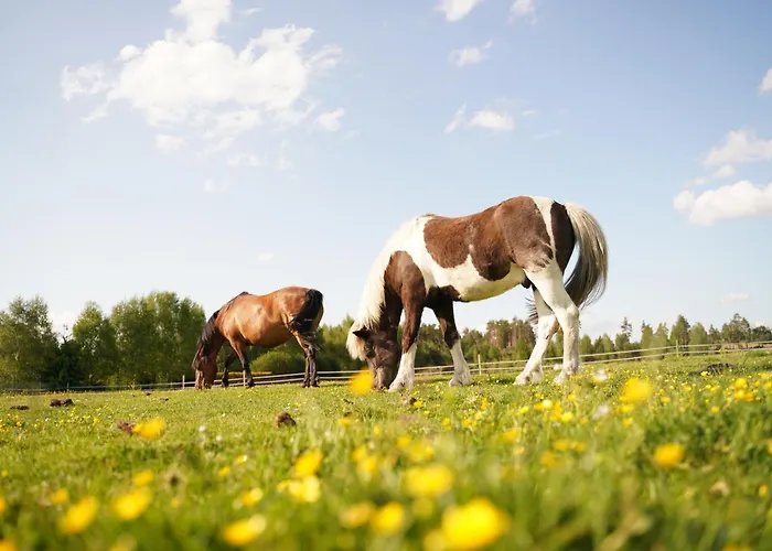 Agroturystyka Sominy Alloggio per agriturismo *