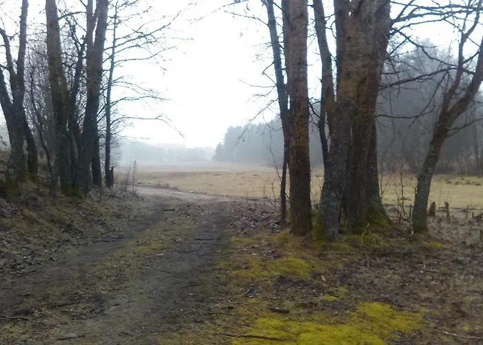 Farma Agroturystyka Sominy