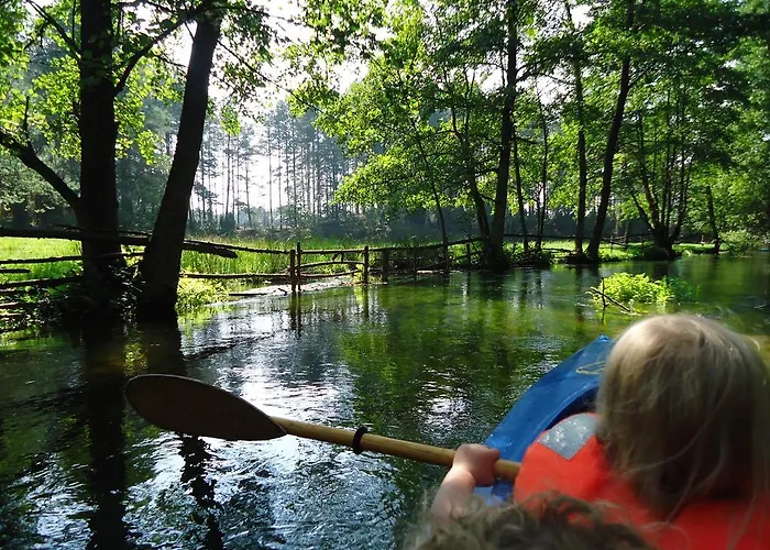 Farma Agroturystyka Sominy *