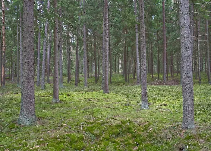 Alloggio per agriturismo Agroturystyka Sominy *