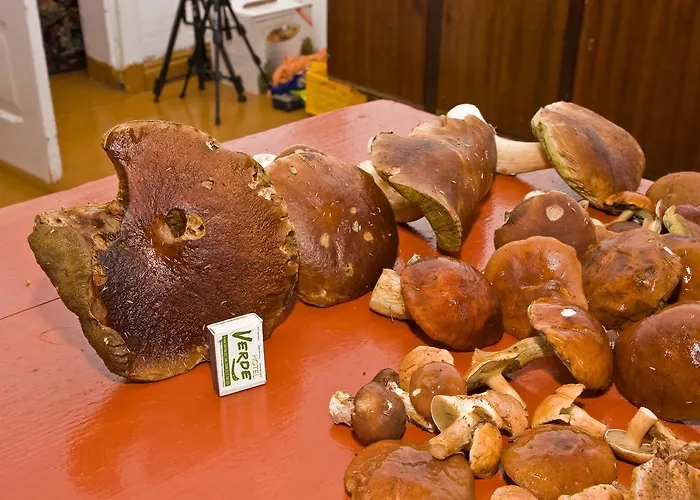 Alloggio per agriturismo Agroturystyka Sominy Sominy