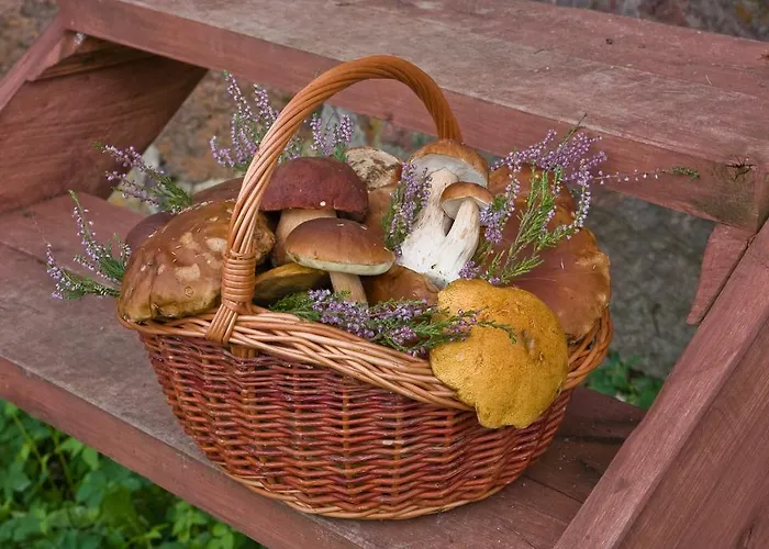 Agroturystyka Sominy Farma