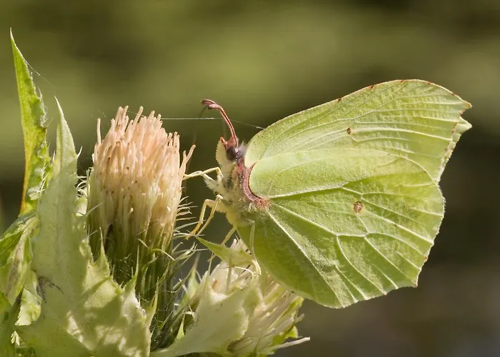 Agroturystyka Sominy *