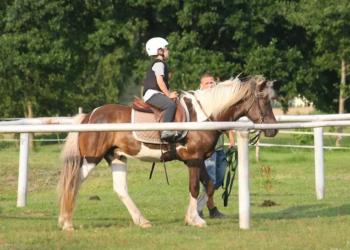 Agroturystyka Sominy Alloggio per agriturismo *