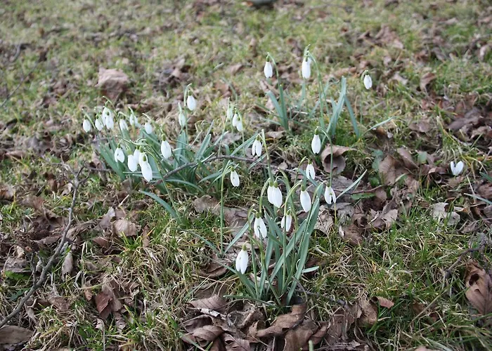 Agroturystyka Sominy Sominy