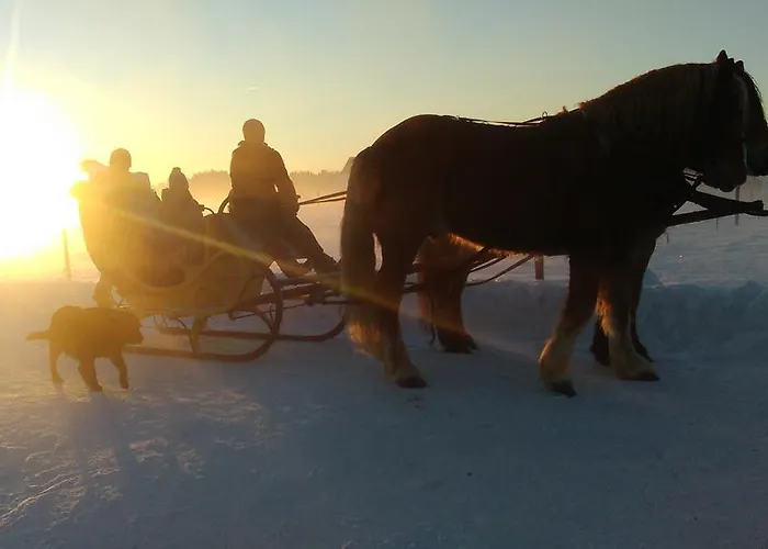 Agroturystyka Sominy Farma